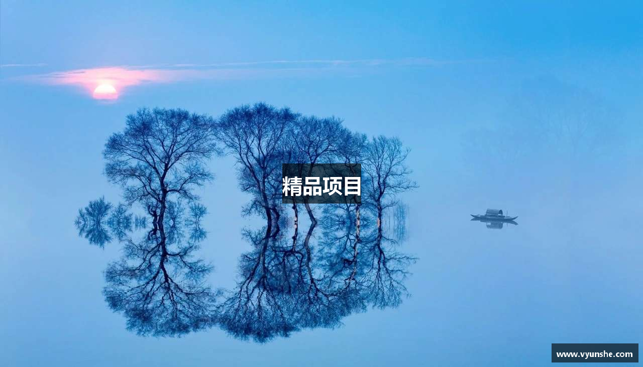 精品项目